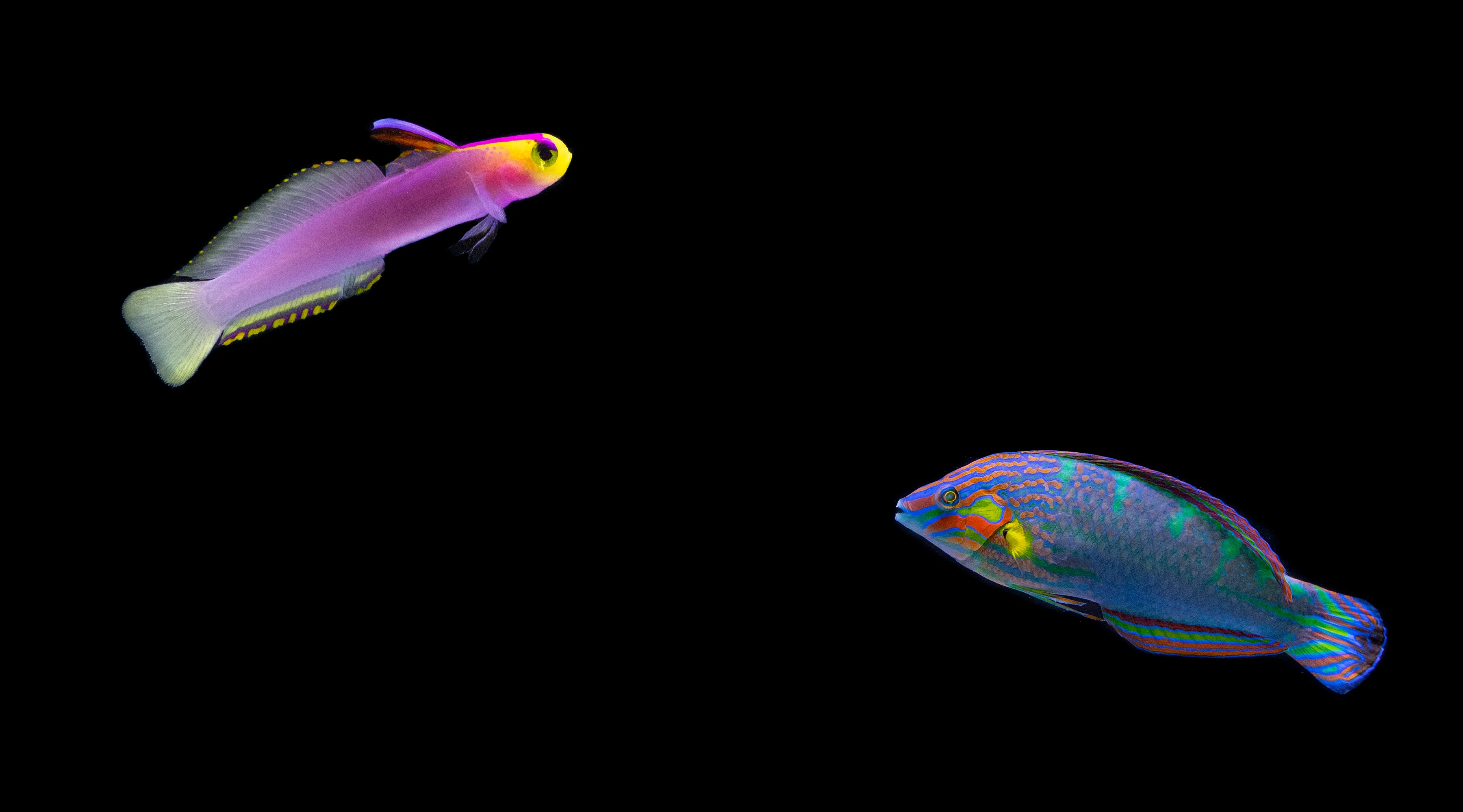 Welcome to Our Store